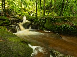 Een kleine waterval in het Zwarte Woud
