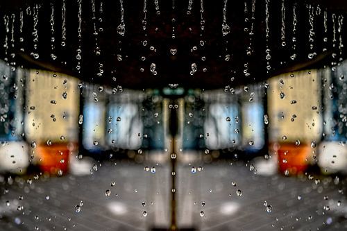 umbrella