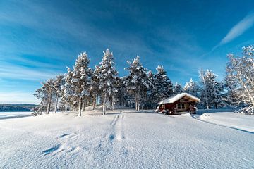 Le pays des merveilles de l'hiver sur Laurens Kleine