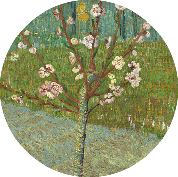Vincent van Gogh. Amandelboom in bloesem