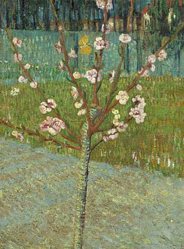 Vincent van Gogh. Mandelbaum in Blüte