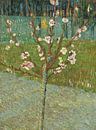 Vincent van Gogh. Mandelbaum in Blüte von 1000 Schilderijen Miniaturansicht