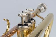 Muziekinstrument trompet in detail van Tonko Oosterink thumbnail
