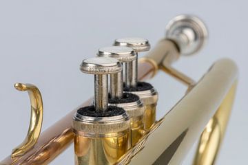 Muziekinstrument trompet in detail van Tonko Oosterink