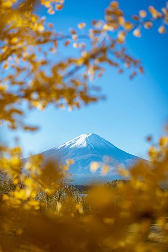 Mount Fuji