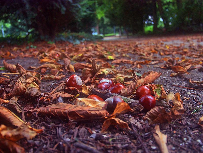 Le temps des châtaignes par Edgar Schermaul
