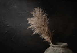 Nature morte sombre avec des plumes de pampa dans une jarre en pierre sur Mayra Fotografie