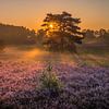 Brunssummerheide Sunrise van Maurice Meerten