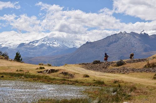 La vie dans les montagnes de Huaraz, Pérou