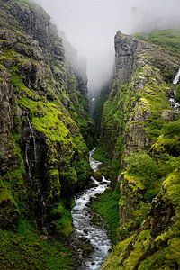 Mistige groene kloof op IJsland van Bart Cox
