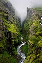 Mistige groene kloof op IJsland van Bart Cox thumbnail