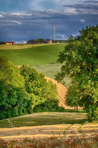 In the cart track by Judith Reinders-Peters