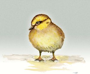 Niedliches Entenküken Aquarell