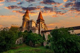 Hunedoara Castle by Roland Brack
