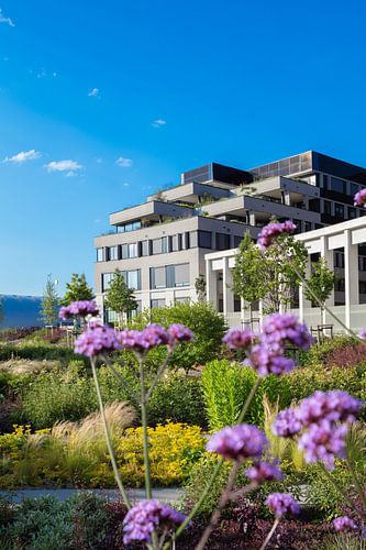 Penthouse aan het plantsoen van Boedapest Leidsche rijn Utrecht