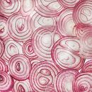 red onion by Klaartje Majoor thumbnail