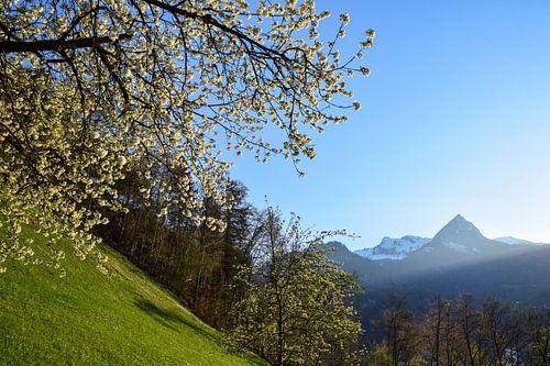 Giswil, Zwitserland - II