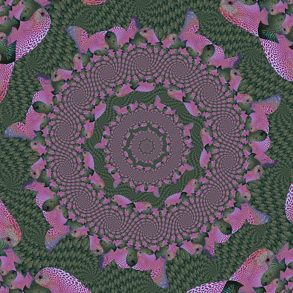 Cercles de spirales de poissons tropicaux III par Tis Veugen