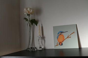 Kundenfoto: Eisvogel von Studio Spanjersberg