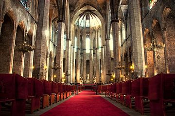 Santa Maria del Mar by Maurice Moeliker