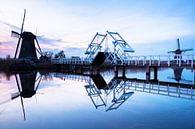 Molens op de Kinderdijk von Martijn Schruijer Miniaturansicht