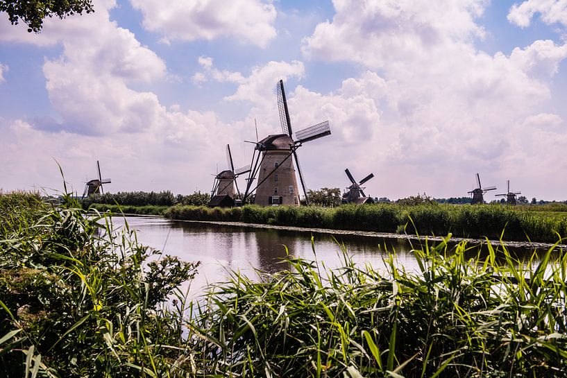 Windmühlen von Kinderdijk von Brian Morgan