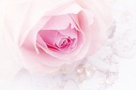 Sanfte Rose von LHJB Photography Miniaturansicht