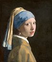 Mädchen mit dem Perlenohrring (spiegelbildlich) - Johannes Vermeer von Marieke de Koning Miniaturansicht