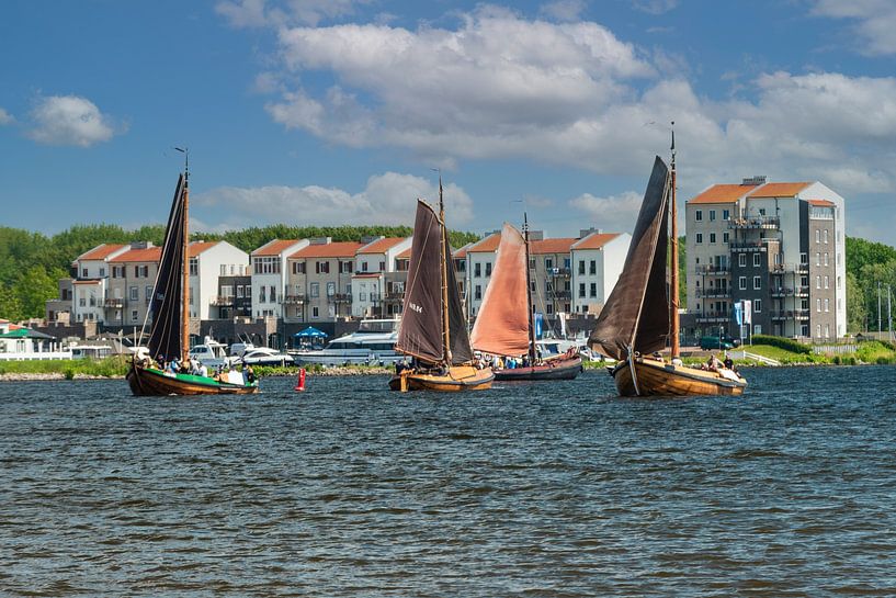 Botters on the Gooimeer. by Brian Morgan