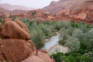 Montagnes et arbres de la vallée des dattes au Maroc