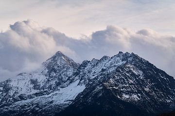 Imitation game by Matthias Luescher