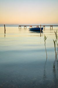 Stille