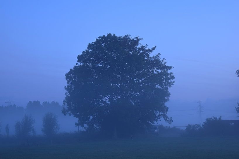 Blue by Johanna Varner