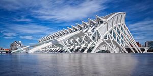 City of Arts and Sciences (Valencia) van Rob van der Teen