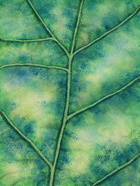 Branching in Green and Blue by Maria Meester
