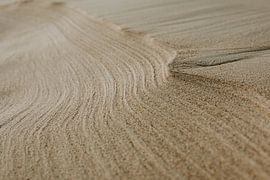 Almost abstract lines in the sand made by the wind by Colinda Riemens