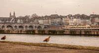 De Sint Servaasbrug bij Maastricht van John Kreukniet thumbnail