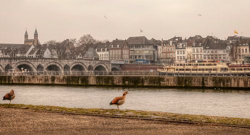 De Sint Servaasbrug bij Maastricht