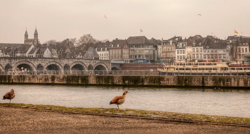 De Sint Servaasbrug bij Maastricht van John Kreukniet