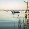 Serene Peace