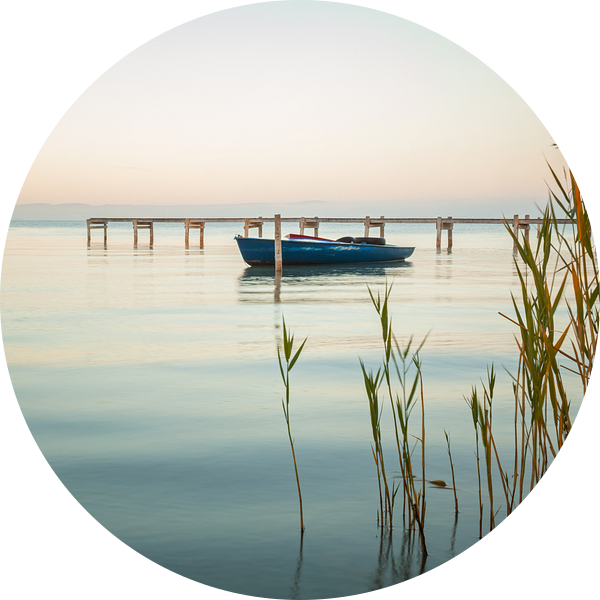 Kalm van Silvio Schoisswohl