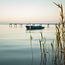 Serene Peace