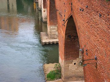 Tauben hängen und fressen auf der Pont Vieux Brücke Albi, Tarn, Frankreich