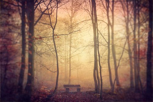 Nebliger Novembermorgen