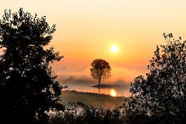 Sonnenaufgang von Tina Linssen