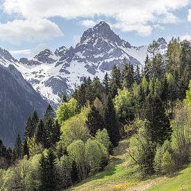 Betovering: berglandschap in Brandnertal, Oostenrijk van Joy Mennings