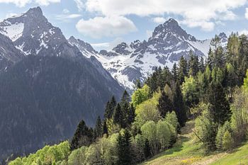 Enchantement : paysage de montagne dans le Brandnertal, Autriche