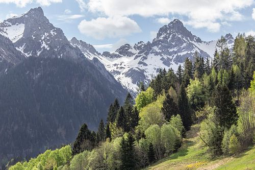 Bezaubernd: Berglandschaft im Brandnertal, Österreich