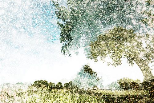 Nederlands landschap Noord-Brabant, Nederland