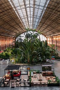 Madrid - Oasis de verdure près de la gare d'Atocha (0071)
